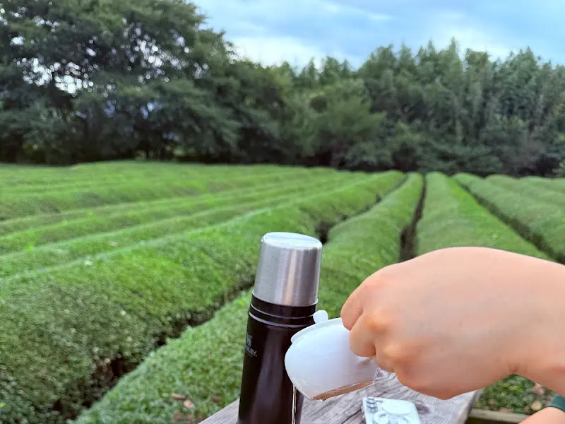 차밭을 배경으로 차를 마시는 모습