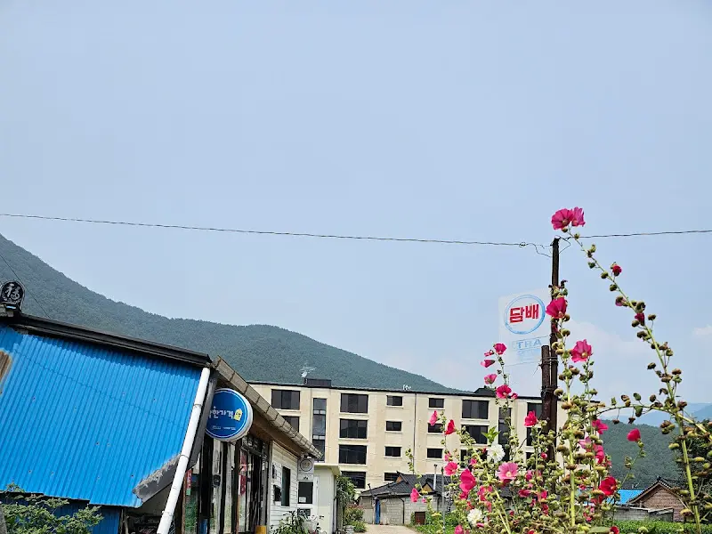 정선 번영슈퍼 주변 풍경