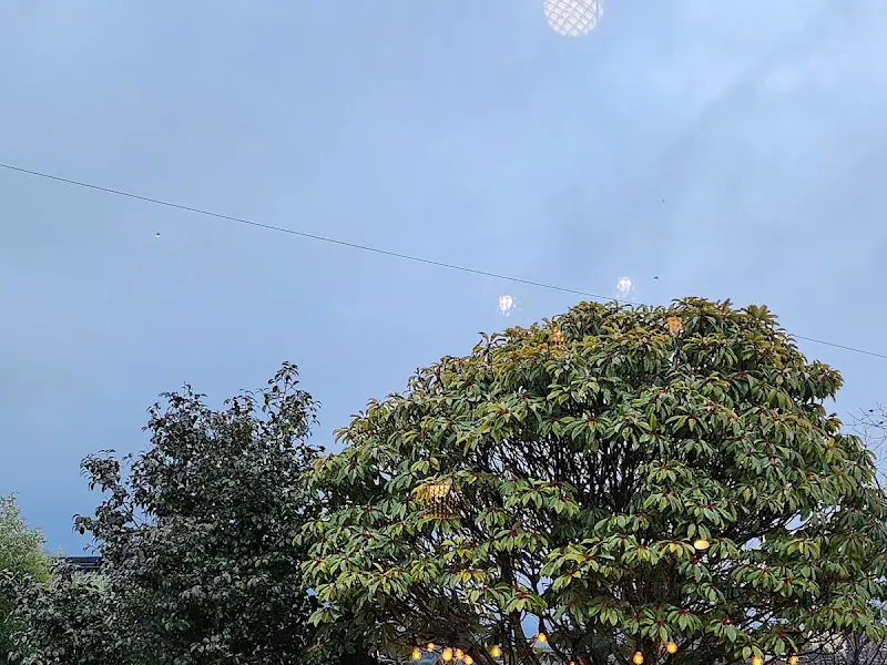 카페 외부 풍경