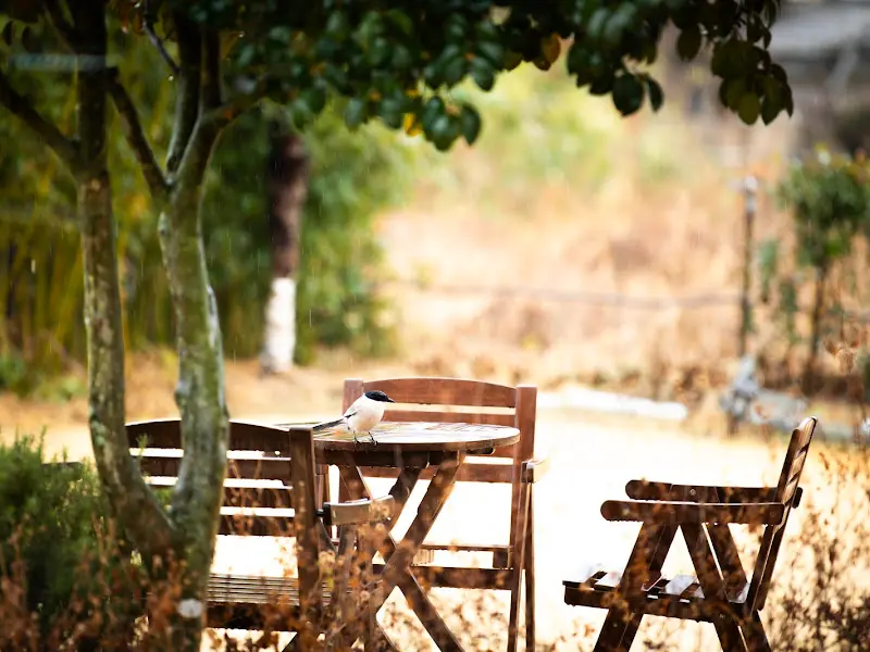 흑임자 케이크 단면