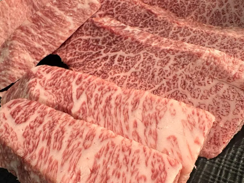 최상급 한우의 자태