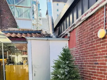 골목길 숨은 보석, 용산 당스에서 맛보는 특별한 브런치 용산역 맛집 기행