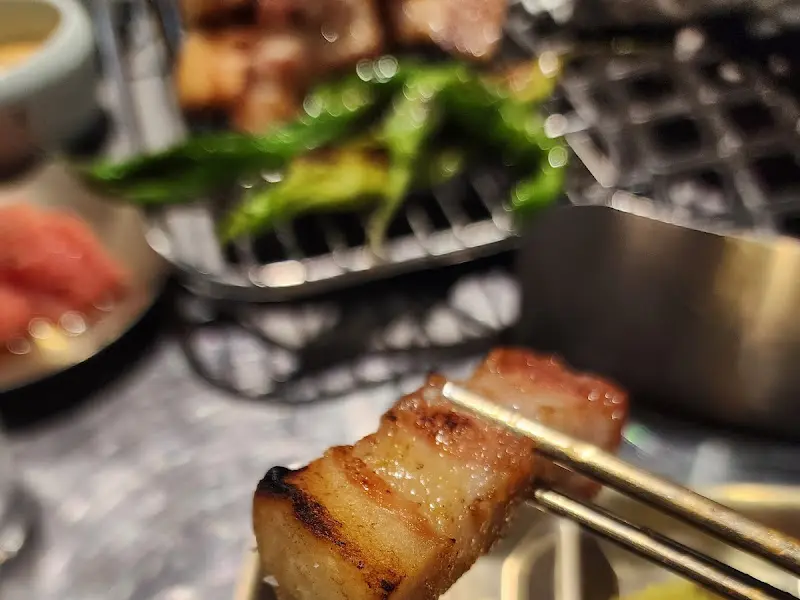 젓가락으로 집은 고기