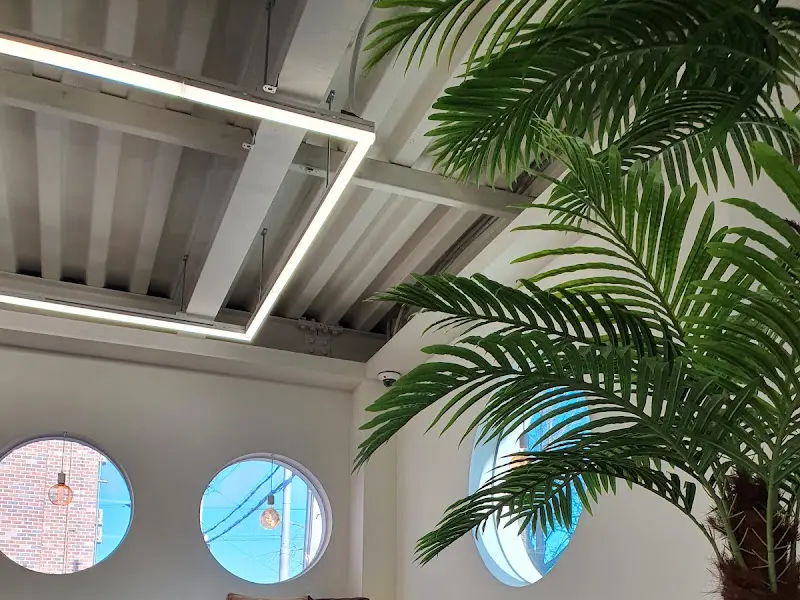 둥근 창문과 식물이 어우러진 내부 인테리어