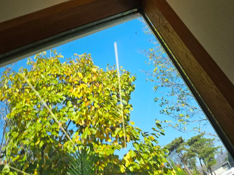 창밖으로 보이는 푸른 하늘과 나무