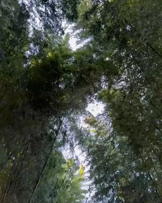 다양한 밑반찬이 차려진 상차림