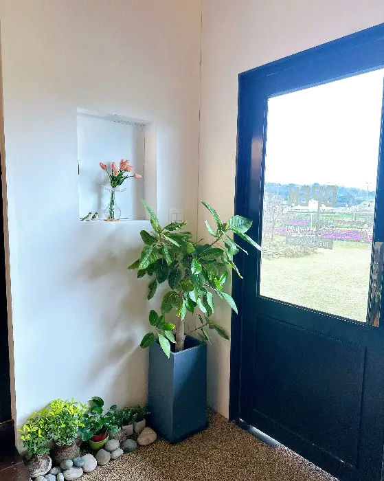 카페 내부의 작은 소품과 창밖 풍경