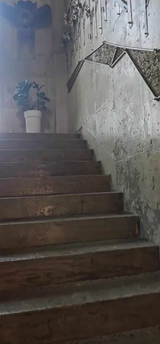 카페 내부 계단과 식물