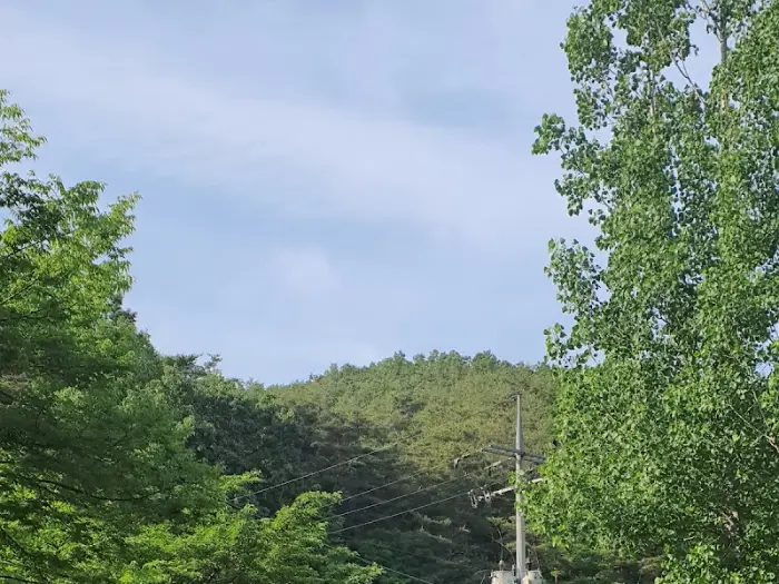 먹음직스러운 백숙