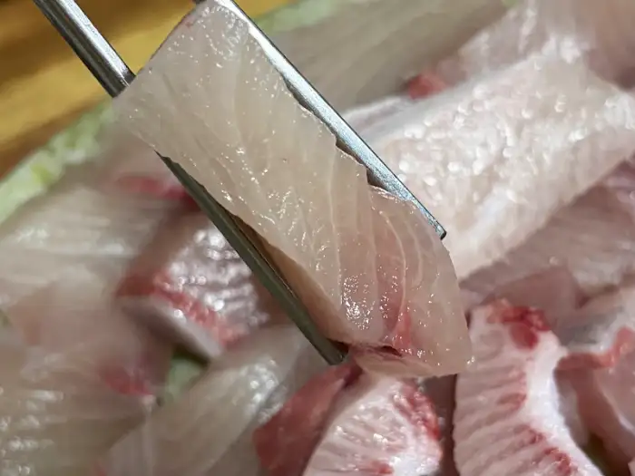 도톰하게 썰린 신선한 자연산 회 한 점