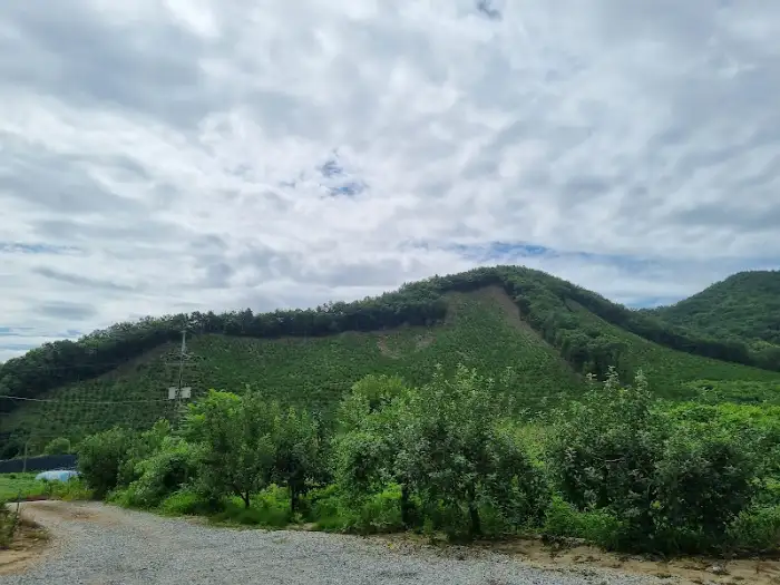 점심 식사 후 바라본 주변 산세