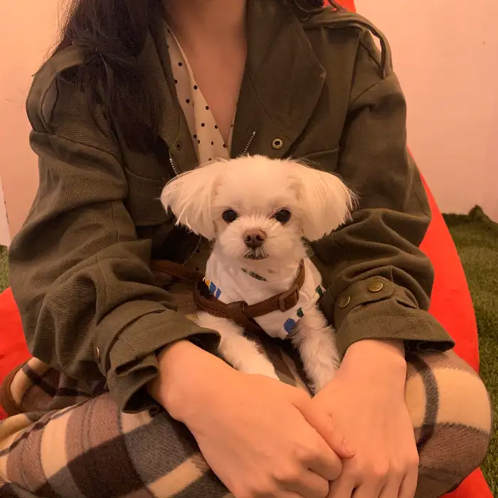 강아지와 함께 앉아있는 사람