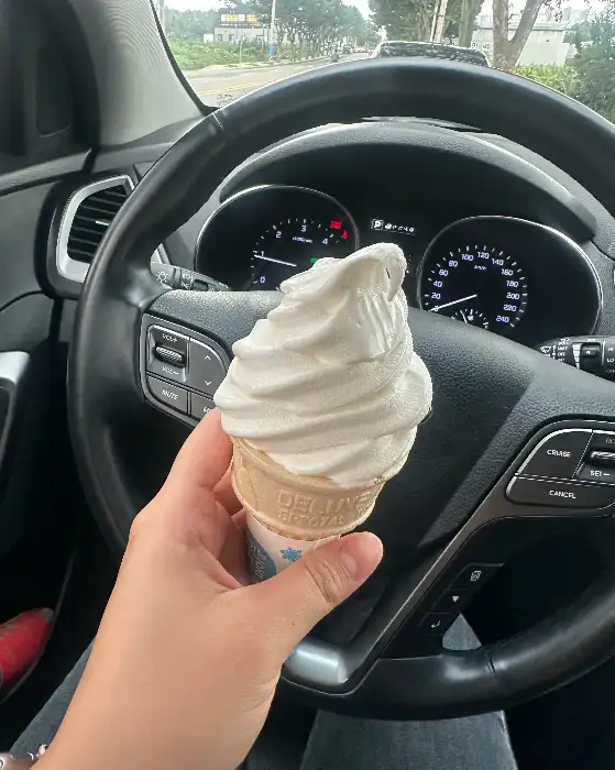 차량 안에서 찍은 소프트콘