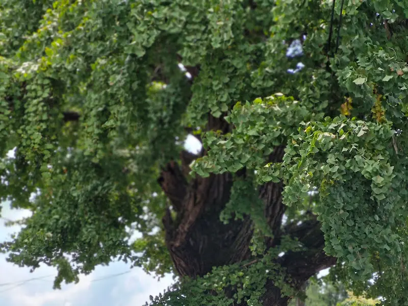 어부집 외부 풍경