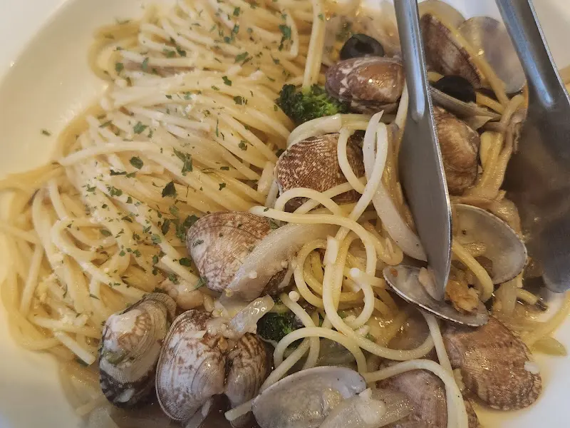 파스타의 클로즈업 샷