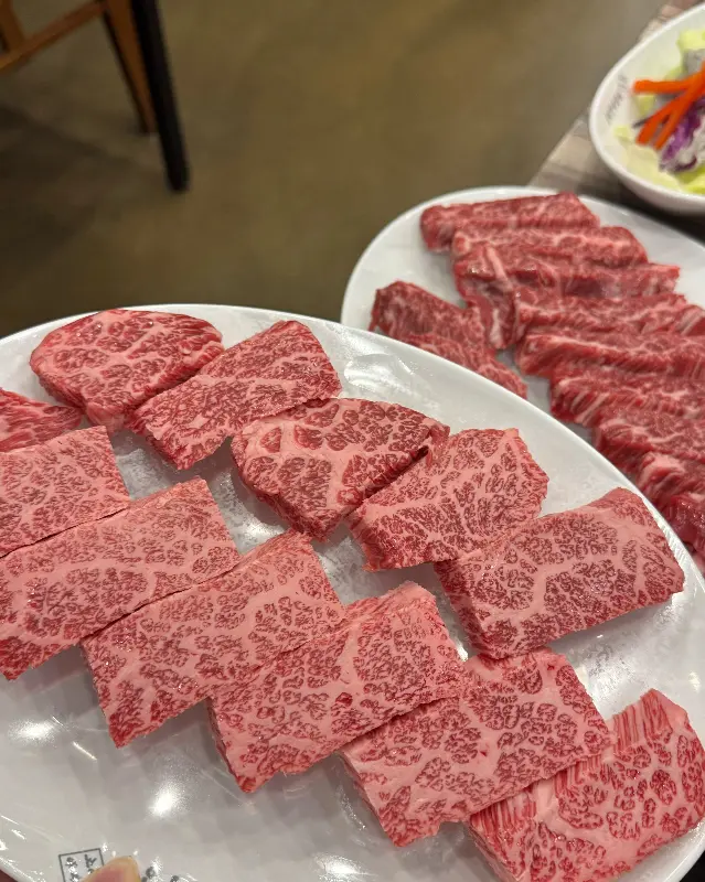 눈꽃 마블링의 꽃등심