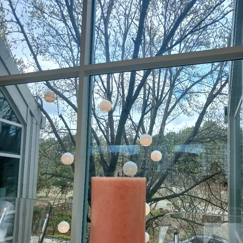 다양한 베이커리