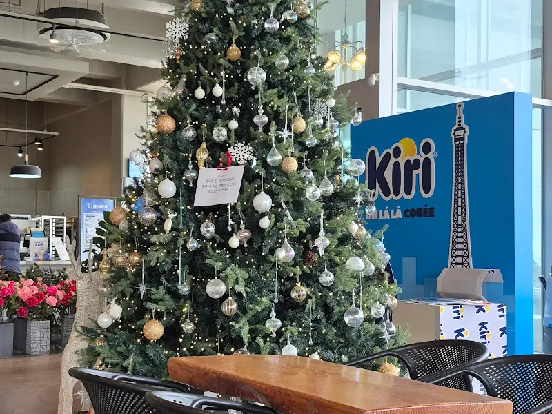 카페 내부의 크리스마스 트리