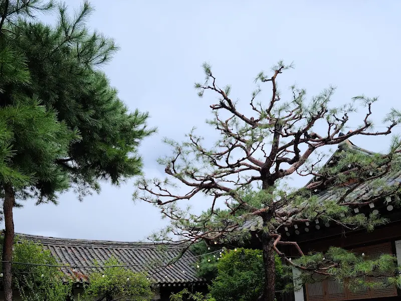 카페 부용원 외관