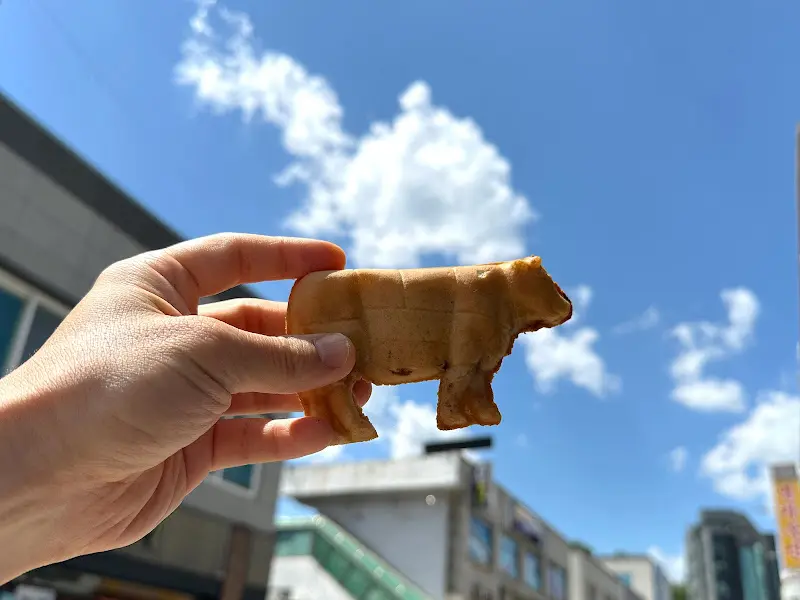 손에 들고 있는 한우빵 사진