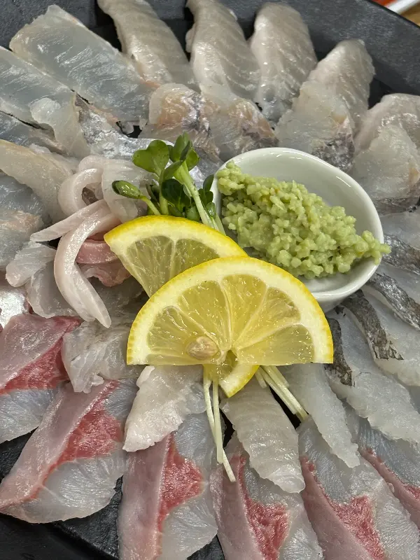 신선한 모듬회 한 상