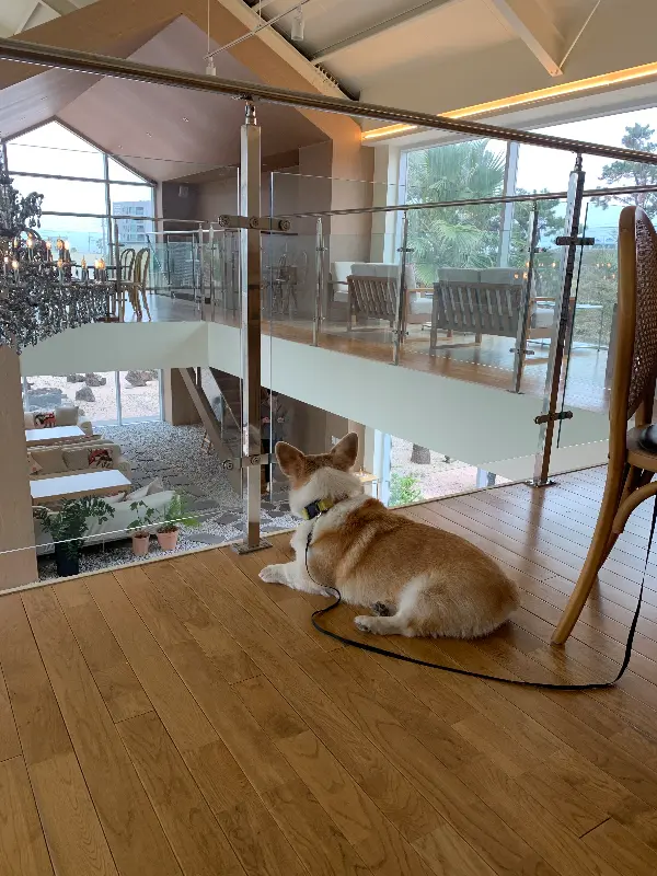 OSDS 협재점의 2층 공간