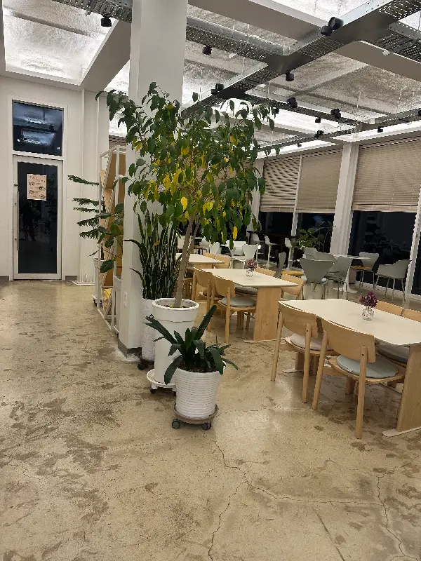 카페 내부 전경