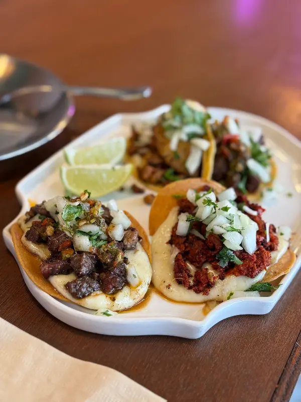 다양한 타코의 모습