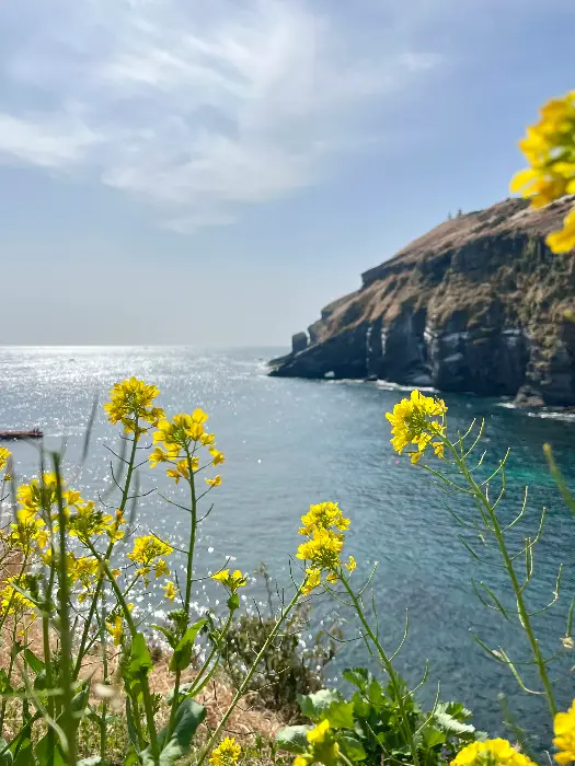 제주의 푸른 바다와 절벽 풍경