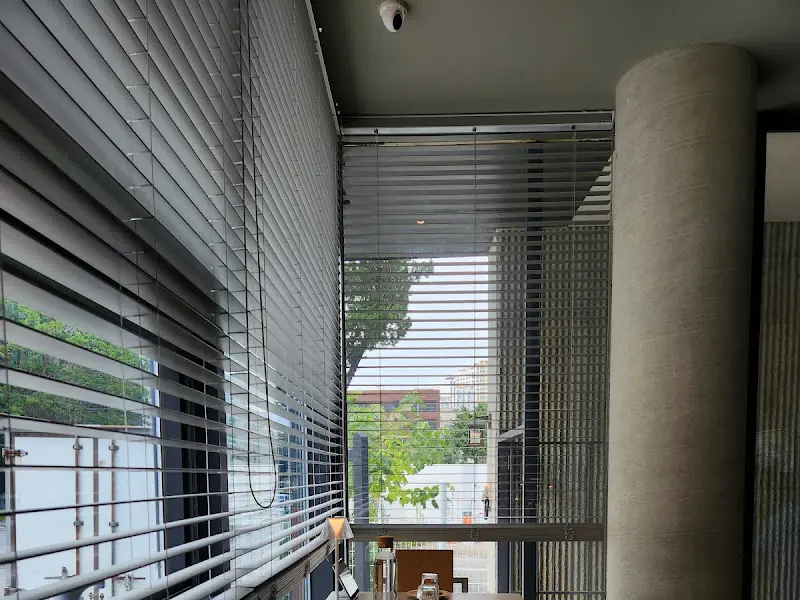 심퍼티쿠시 내부