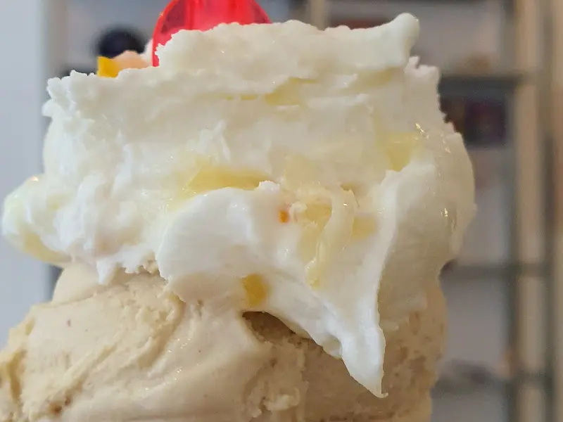 아차가 젤라또 근접샷