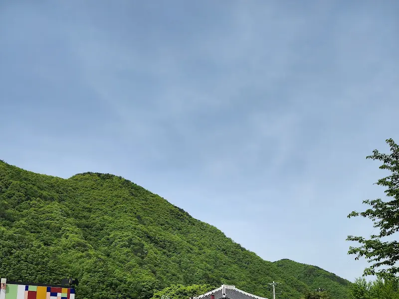 식당 주변 풍경