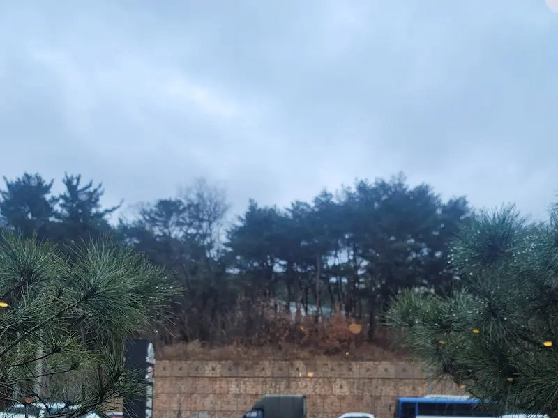 올리앤 주변 풍경