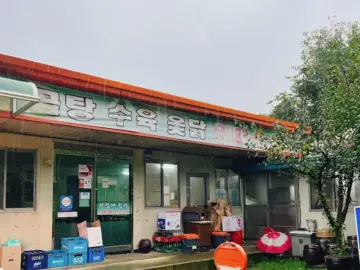 다락재 너머 피어나는 추억, 구니CC 향하는 길목에서 만난 곰탕 한 그릇의 깊은 맛, 그리고 서산의 정겨운 풍경 맛집