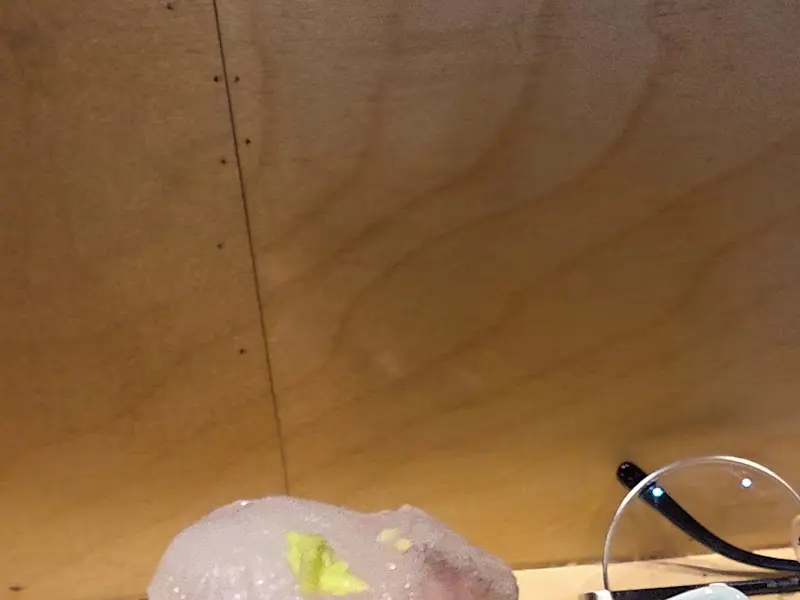 오보에루에서 즐거운 식사