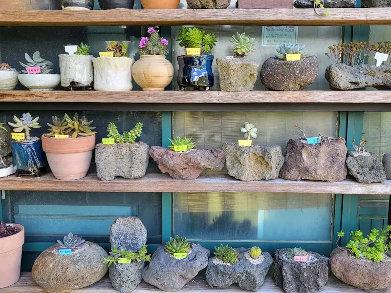 정원에 핀 예쁜 꽃들