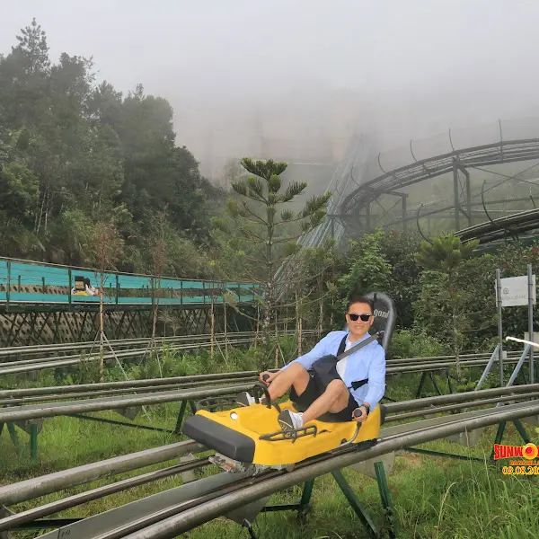 액티비티를 즐기는 모습