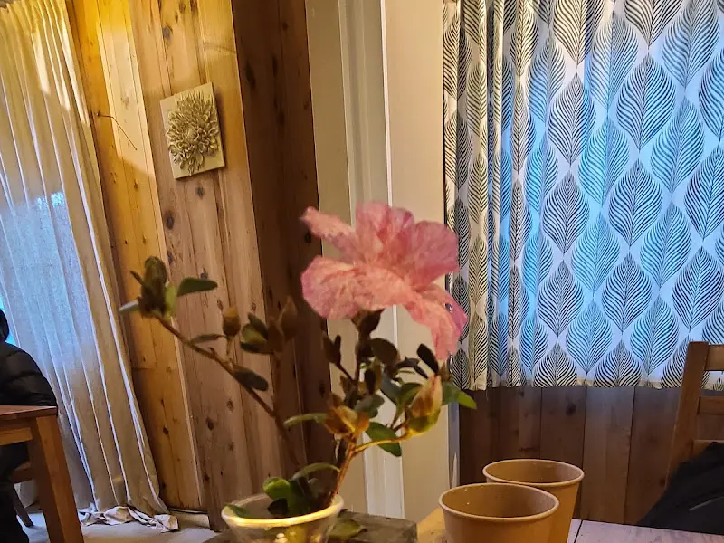 화려한 패턴의 커튼과 싱그러운 식물이 조화로운 내부 인테리어