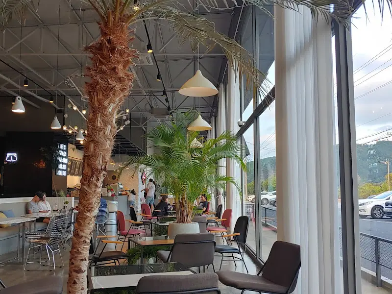 통창으로 보이는 바깥 풍경