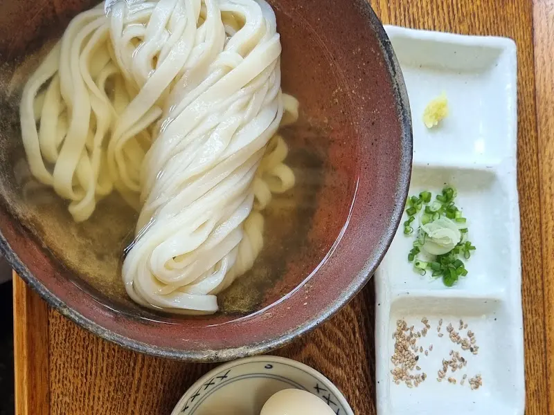 차가운 면발 위에 소담하게 담긴 붓카케 우동