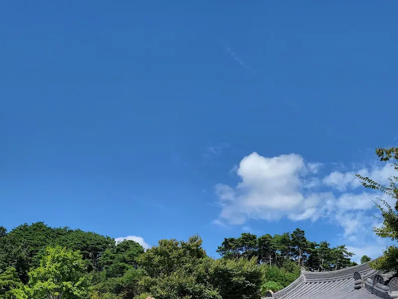 푸른 하늘과 나무