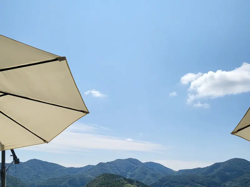 파라솔 아래에서 чаепитие