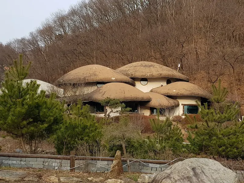 자작나무이야기 외경