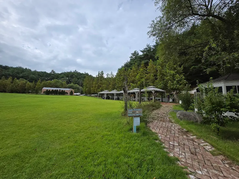 넓은 잔디밭 풍경