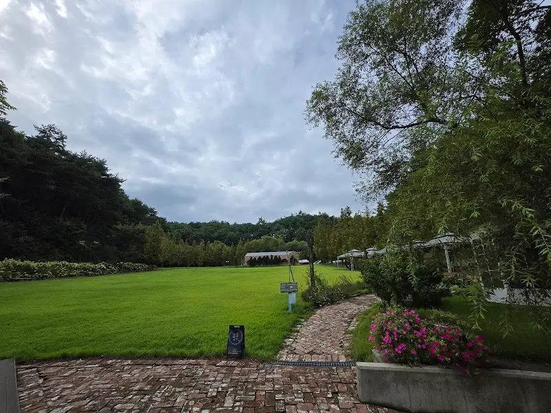 카페에서 바라본 넓은 잔디밭