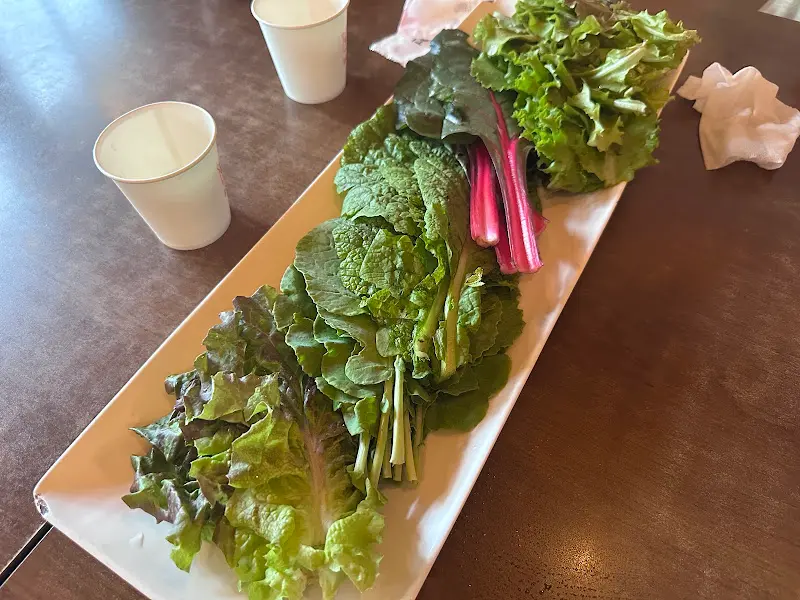 싱싱한 쌈 채소