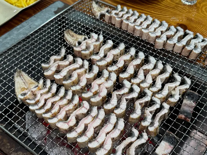 가지런하게 놓인 장어