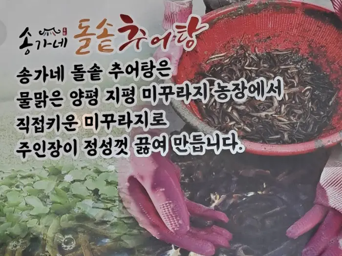 미꾸라지 농장 사진