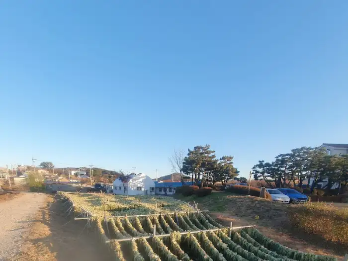 식당 주변 풍경