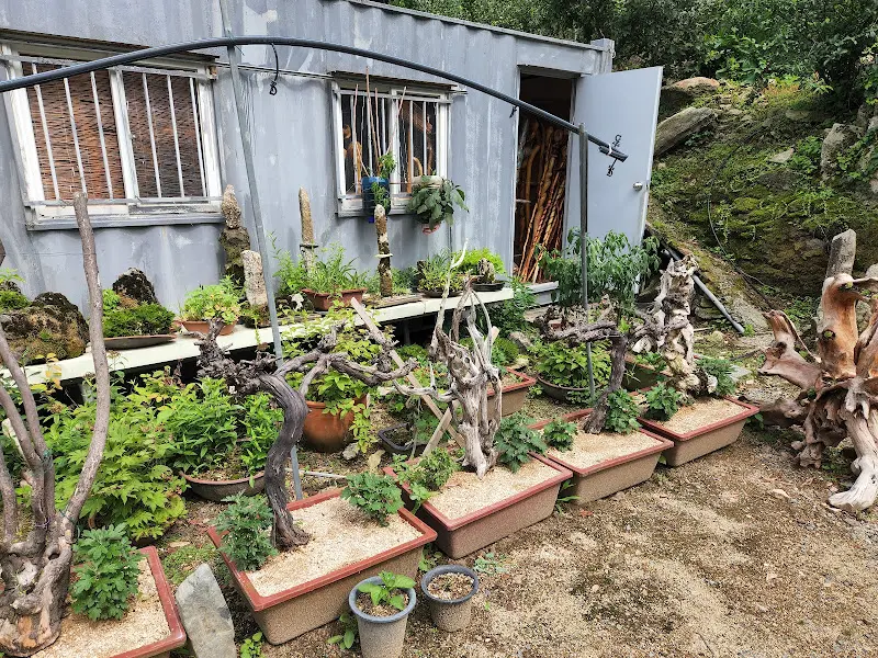 아기자기하게 꾸며진 정원